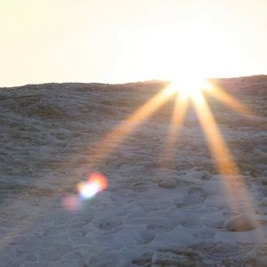 Meet your Posher, Jen